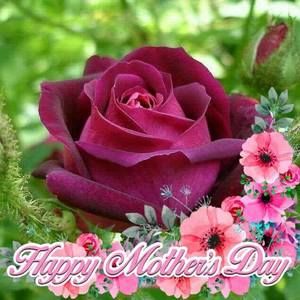 Meet your Posher, Aurea luz